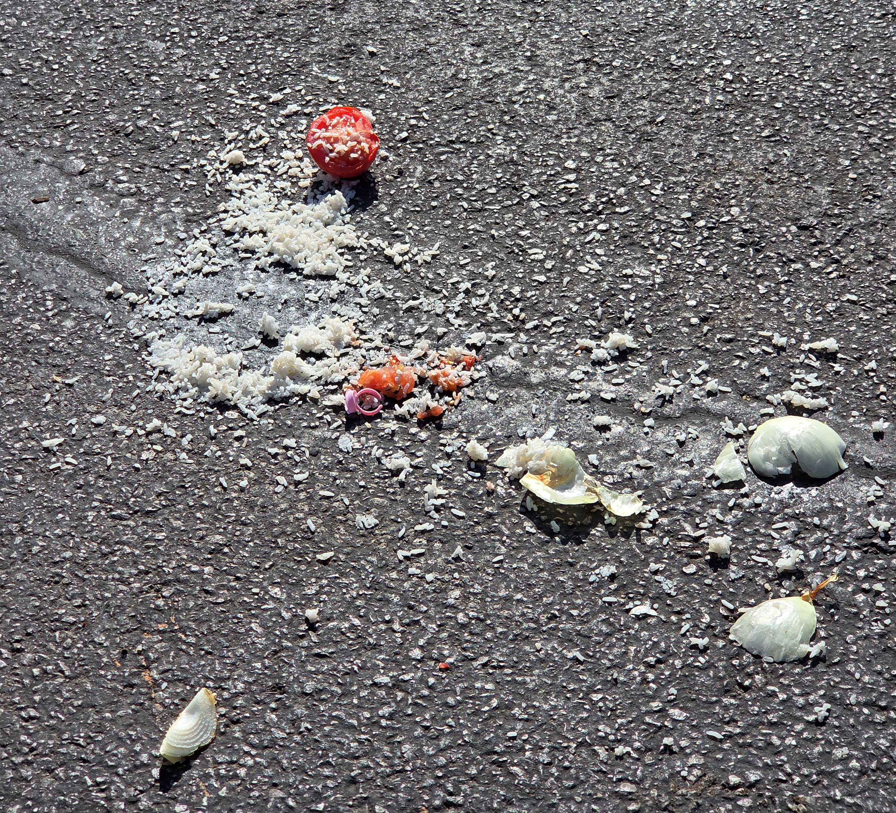 When Does Trash Become an Accessibility Problem?